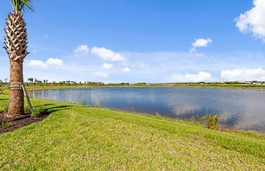 Natural landscape and outdoor views near Del Webb Naples in Immokalee (Image 13). Natural landscape and outdoor views near Del Webb Naples in Immokalee (Image 13).