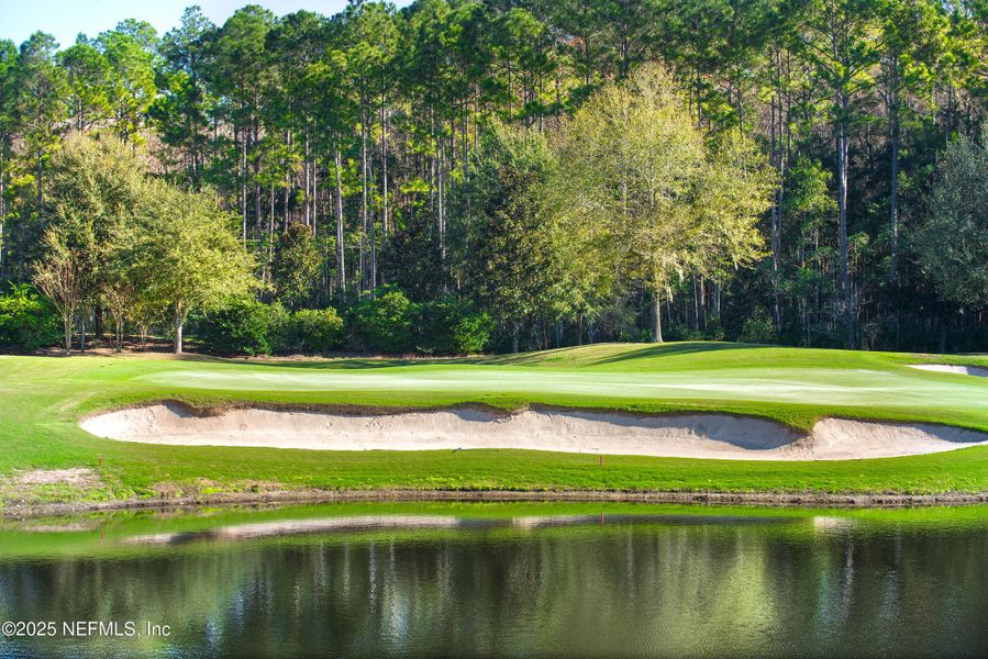 Natural landscape and outdoor views near Amelia National Country Club in Fernandina Beach (Image 42).