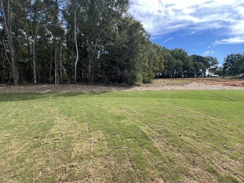 Natural landscape and outdoor views near  in Good Hope (Image 37).