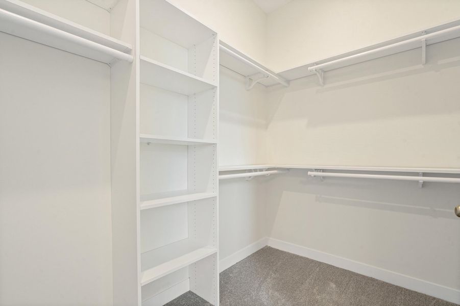 Walk-in closet featuring white built-in shelving, white hanging rods, and gray carpeting Walk-in closet featuring white built-in shelving, white hanging rods, and gray carpeting