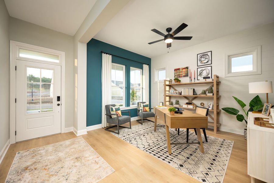 The Meadows - Study The Meadows - Study