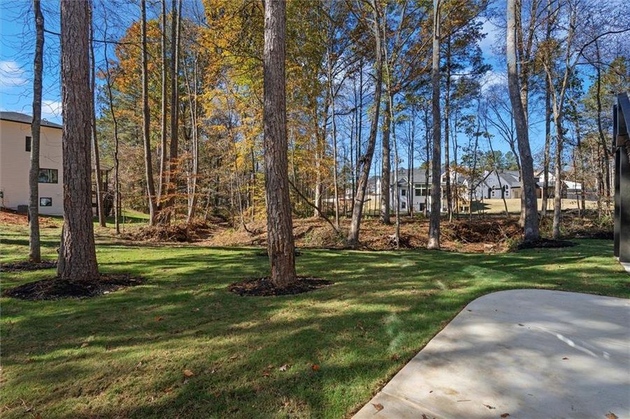 Natural landscape and outdoor views near  in Villa Rica (Image 53).