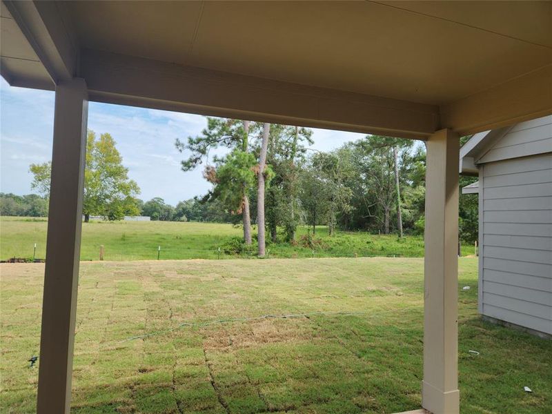 Covered patio in backyard