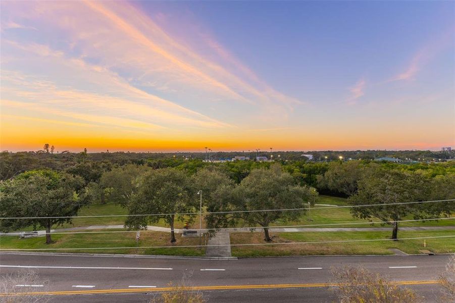 Natural landscape and outdoor views near in St. Petersburg (Image 44). Natural landscape and outdoor views near in St. Petersburg (Image 44).
