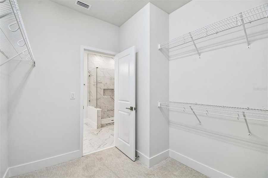 Spacious, unfurnished interior of a new home in Apex at Seminole Heights, Tampa (Image 19).