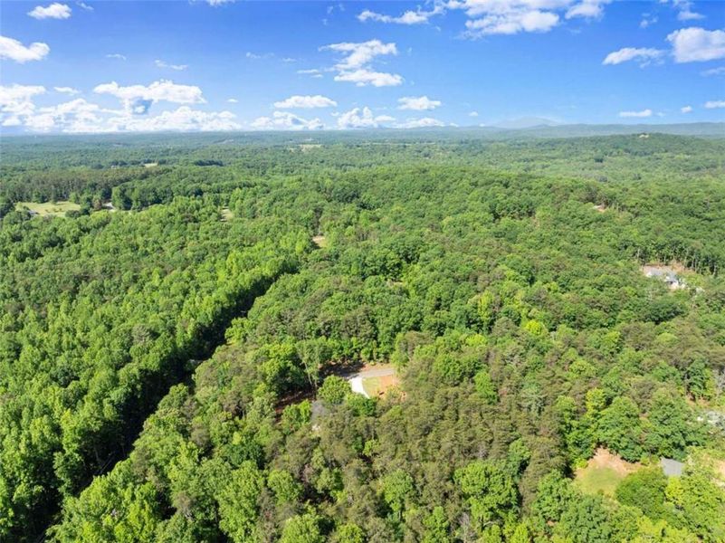 Natural landscape and outdoor views near  in Clarkesville (Image 59).