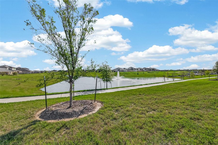 Natural landscape and outdoor views near in Fulshear (Image 44). Natural landscape and outdoor views near in Fulshear (Image 44).