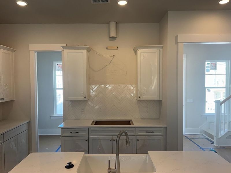 Image 49 of a home in Indigo Grove Single Family Homes.