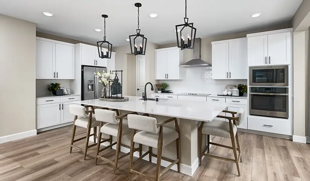 Coronado-LV Kitchen