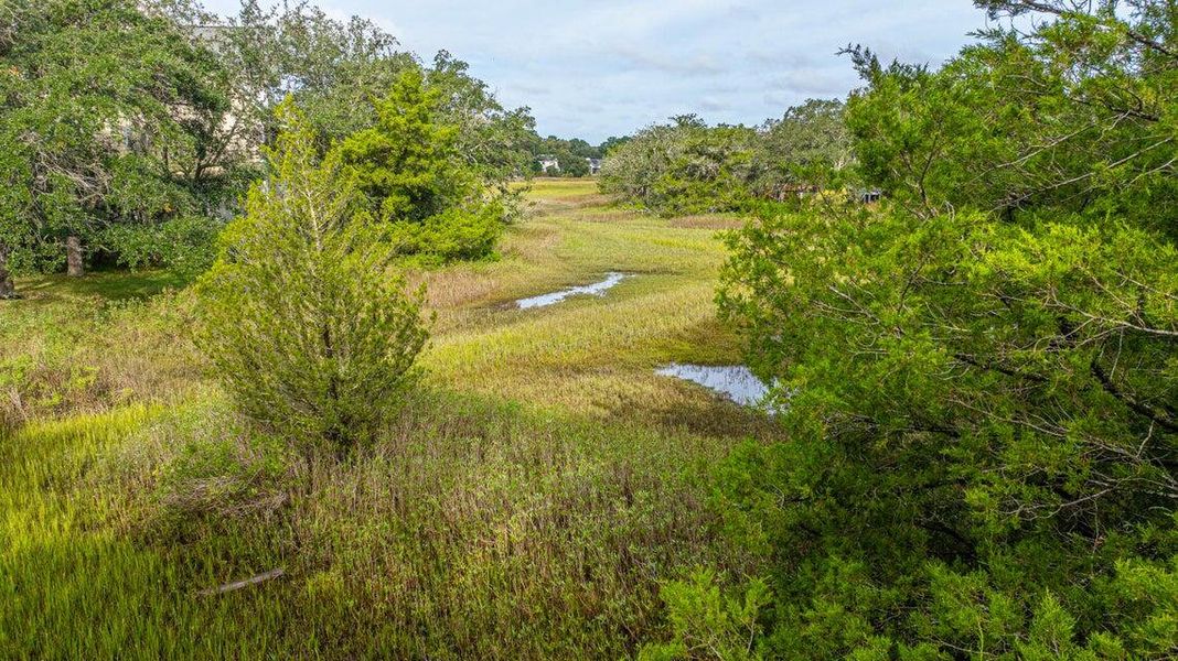 Natural landscape and outdoor views near in Charleston (Image 15). Natural landscape and outdoor views near in Charleston (Image 15).