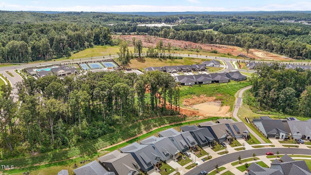 53-web-or-mls-DJI_20250821134418_0684_D