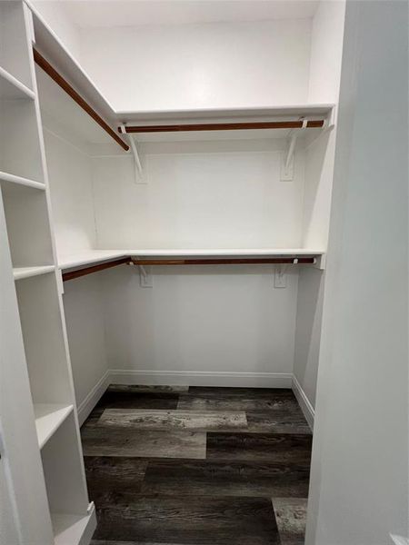 Walk in closet featuring dark wood finished floors