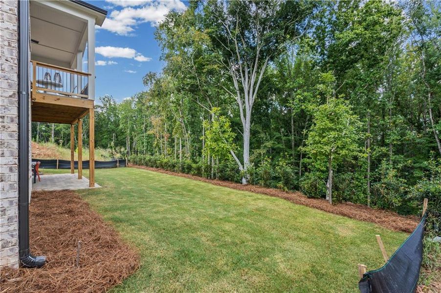 Exterior details and patio area of a home in Laurel View, Suwanee (Image 33).