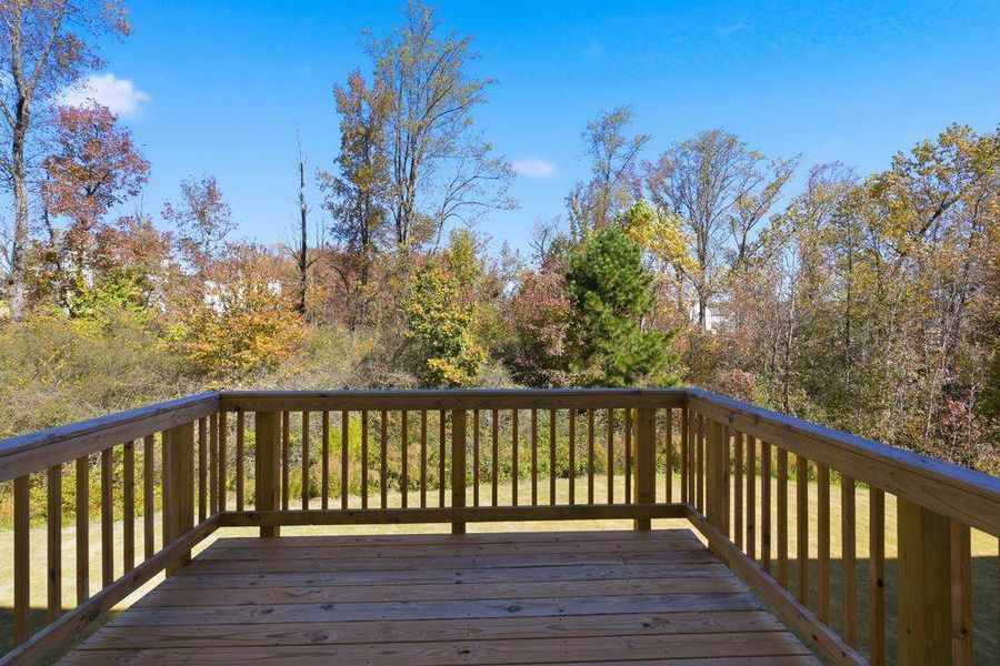 Natural landscape and outdoor views near Falls Creek in Flowery Branch (Image 41).