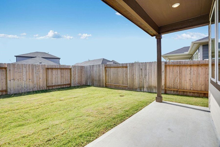 21915 Red Lantana ~ Ready Now 21915 Red Lantana ~ Ready Now