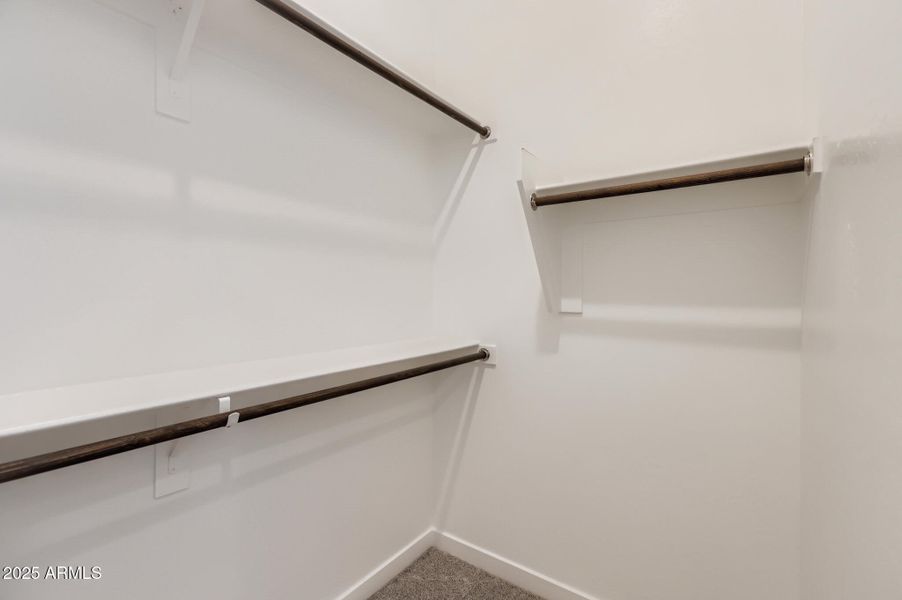 Owners Walk in Closet