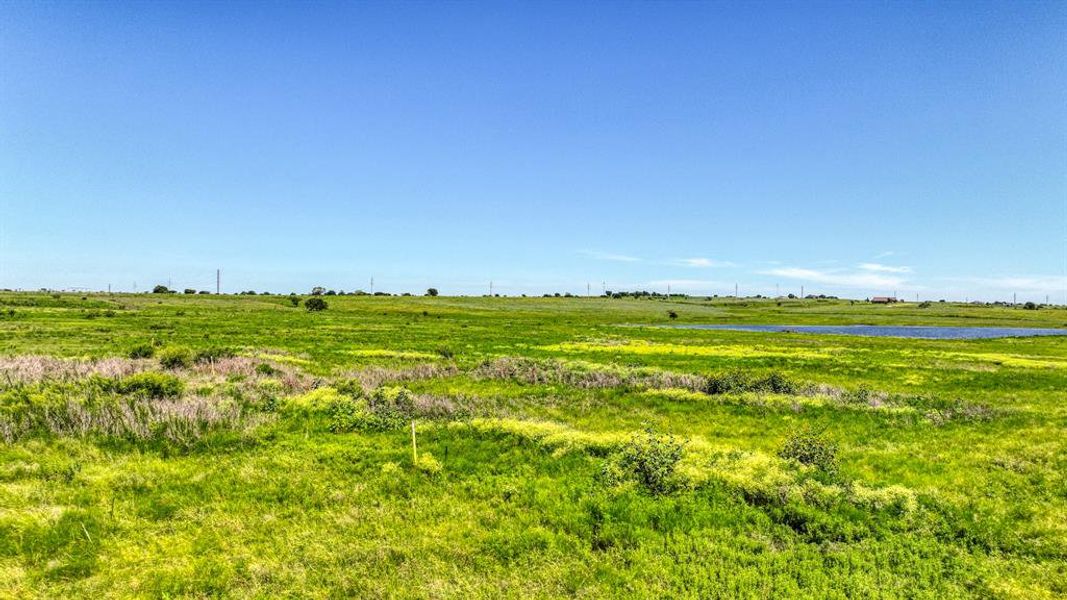 Natural landscape and outdoor views near  in Godley (Image 5).