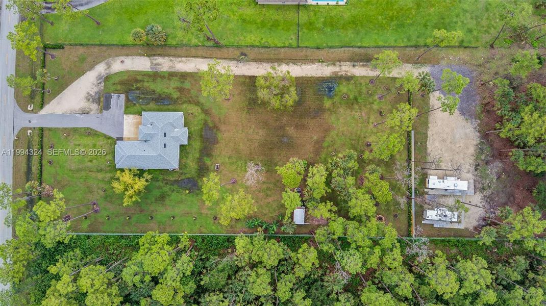 Site preparation for new homesites in , Naples (Image 22).