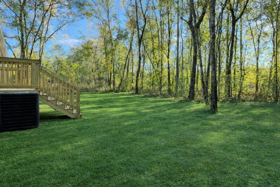 Natural landscape and outdoor views near  in Walterboro (Image 32).