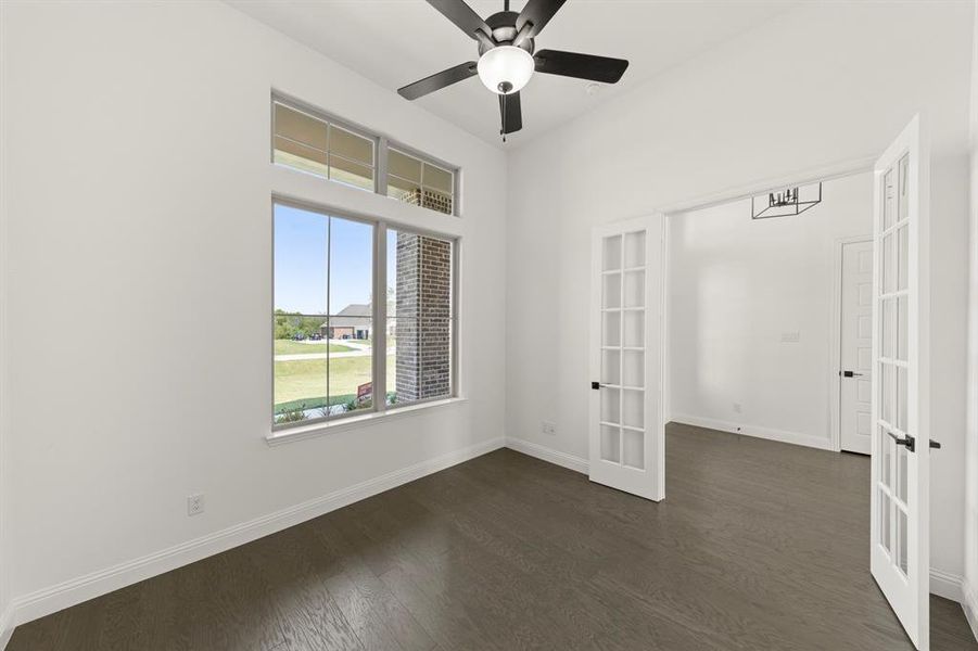 04. 409 Spoonbill - Study