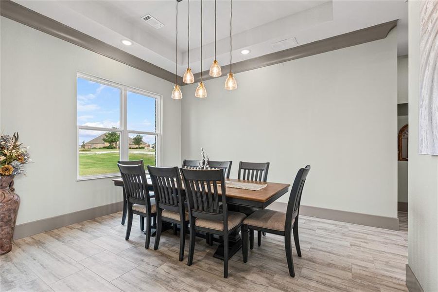 Furnished interior view inside a new home in , Celina (Image 4). Furnished interior view inside a new home in , Celina (Image 4).