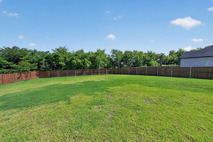 Backyard