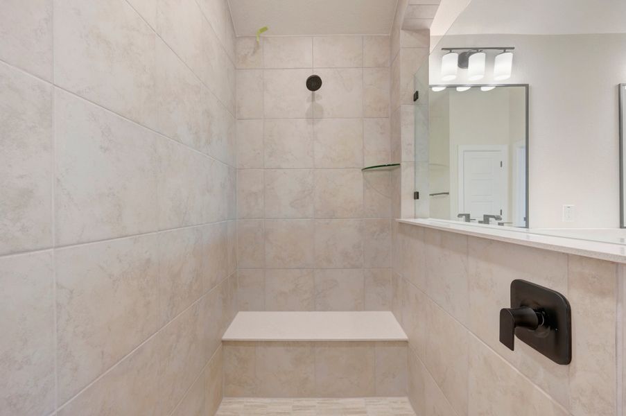 Owner's Bath