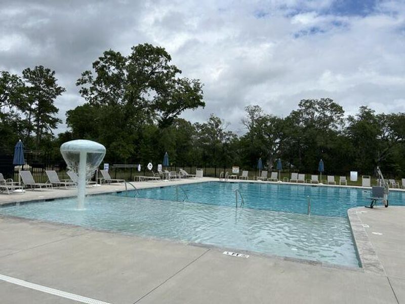 Community amenities in Sea Island Preserve, Johns Island (Image 76).