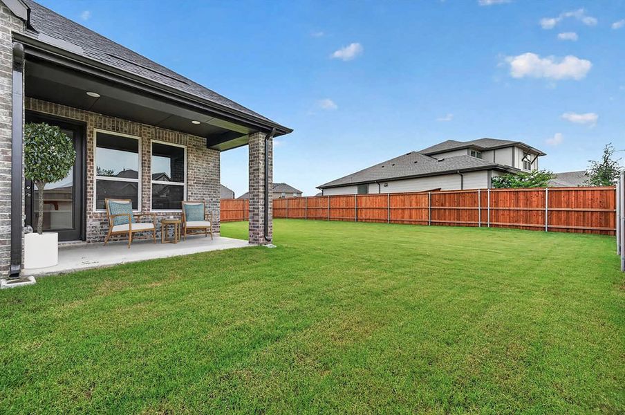 Backyard