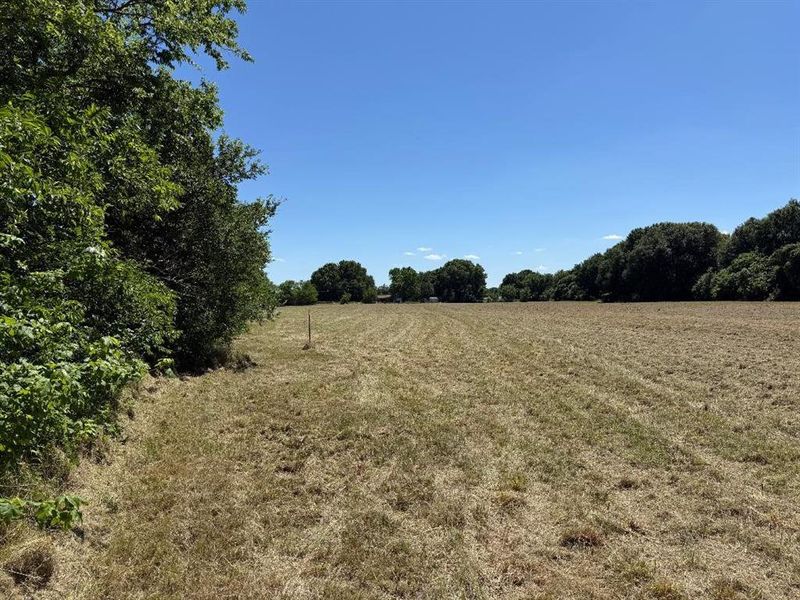 Natural landscape and outdoor views near  in Kemp (Image 7).
