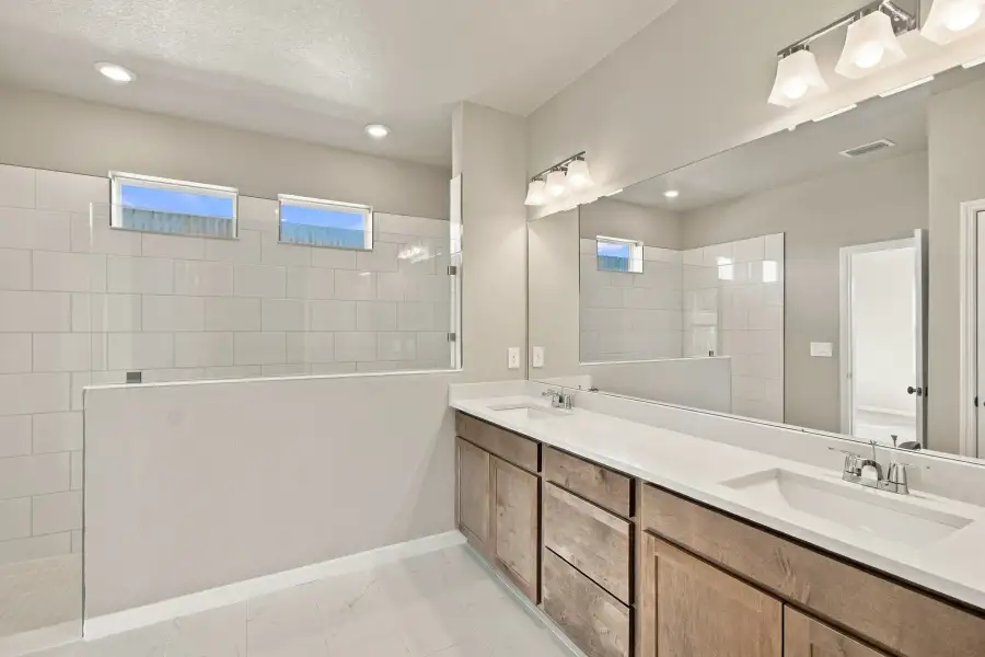 Owner's Bath