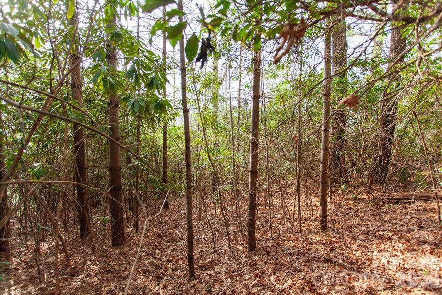 Natural landscape and outdoor views near  in Penrose (Image 9).
