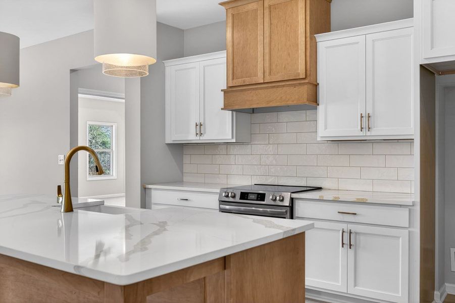 Furnished interior view inside a new home in Blackwelder Bluff, Bowdon (Image 12).