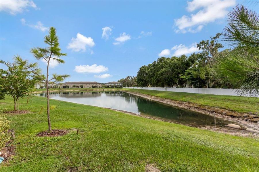 Natural landscape and outdoor views near in Land O' Lakes (Image 35). Natural landscape and outdoor views near in Land O' Lakes (Image 35).