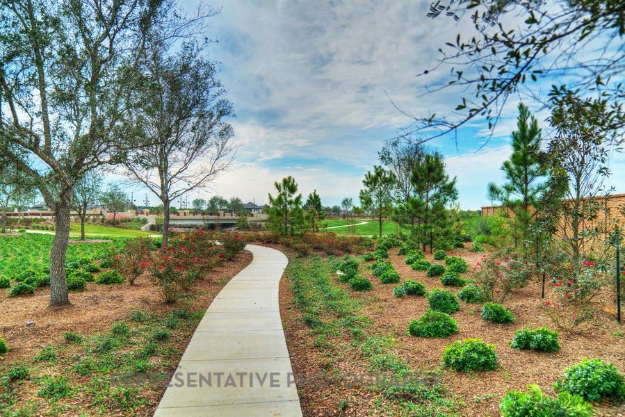 Natural landscape and outdoor views near Meridiana: 65ft. lots in Manvel (Image 35).