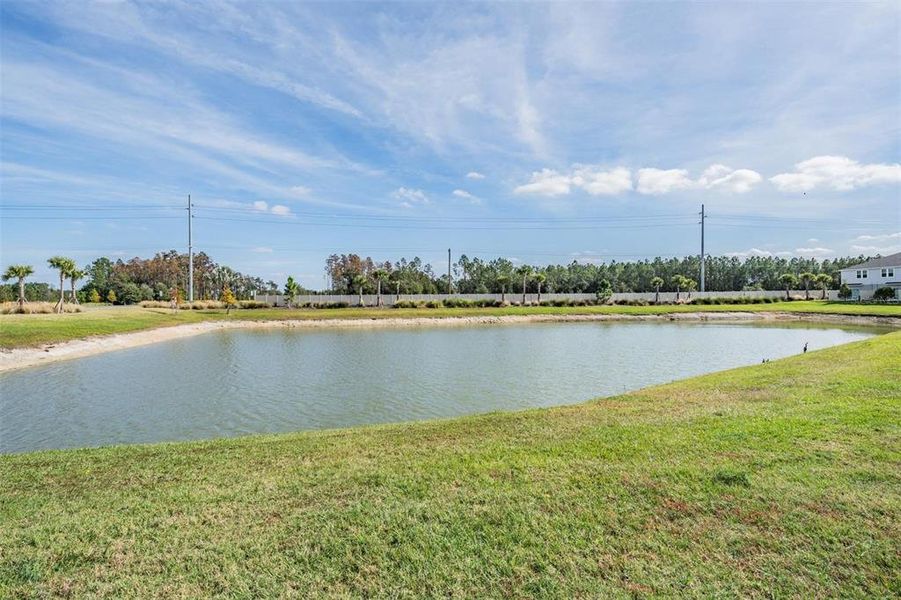 Natural landscape and outdoor views near in Wesley Chapel (Image 29). Natural landscape and outdoor views near in Wesley Chapel (Image 29).
