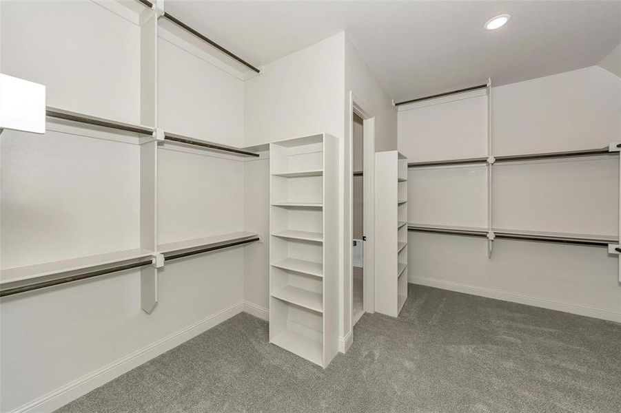 Walk in closet with light colored carpet