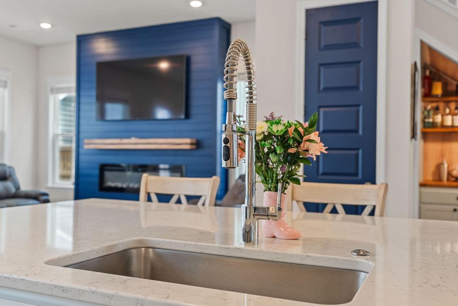 Close-up of interior finishes inside a home in Heron's Walk at Summers Corner, Summerville (Image 20).