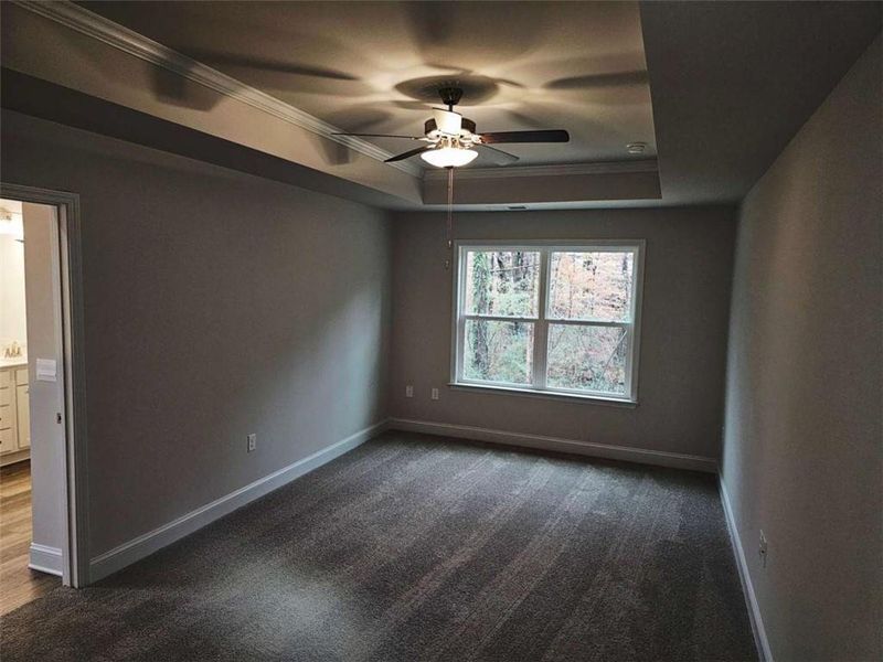 Spacious, unfurnished interior of a new home in Scarlett Place, Bowdon (Image 11).