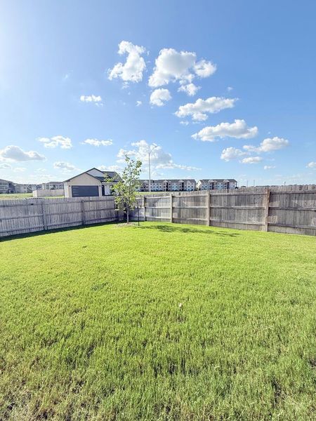 A generous backyard offers a verdant expanse, fully fenced for privacy.