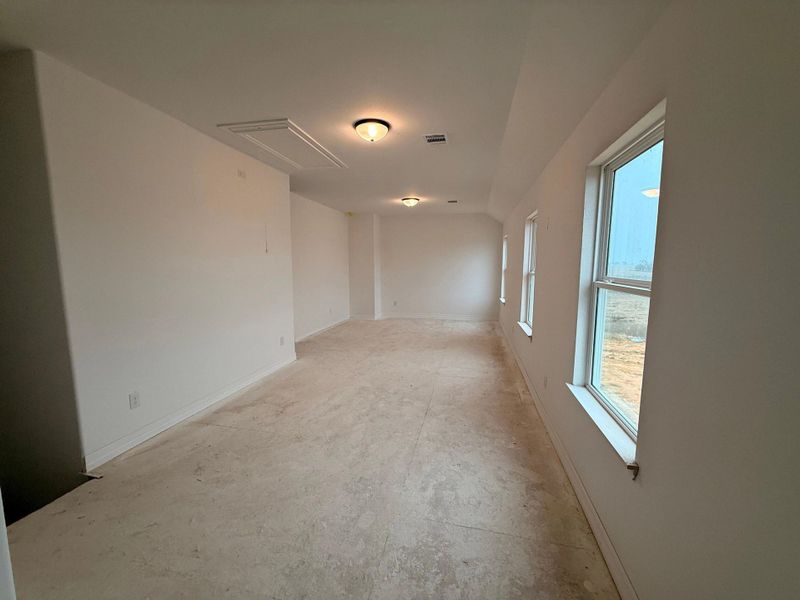 Construction Progress - Loft