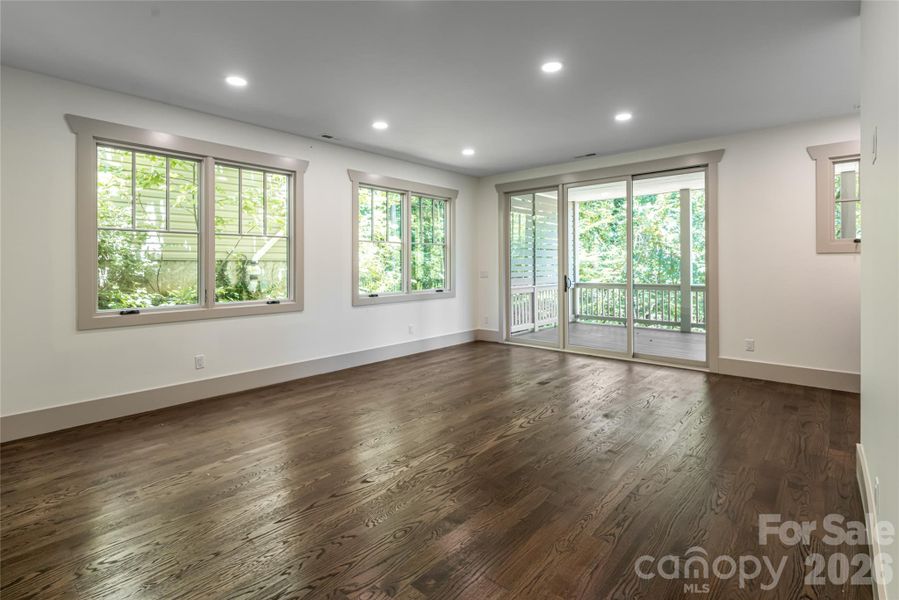 Lower level family room