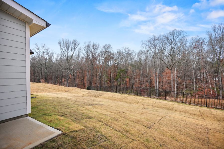 Exterior details and patio area of a home in Forest Creek, Waxhaw (Image 29).