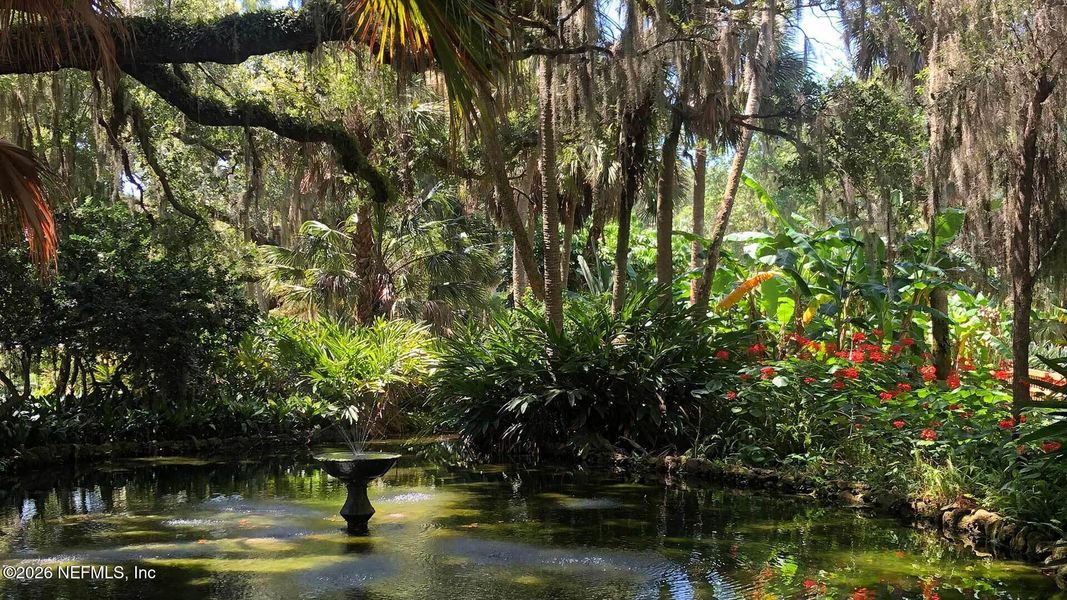 Natural landscape and outdoor views near  in Palm Coast (Image 3).