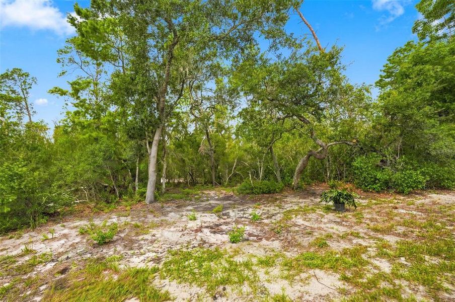 Natural landscape and outdoor views near  in Spring Hill (Image 35).