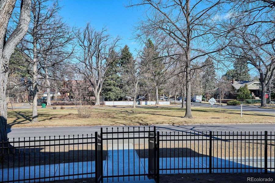 View of 17th Avenue Parkway from the front door. View of 17th Avenue Parkway from the front door.