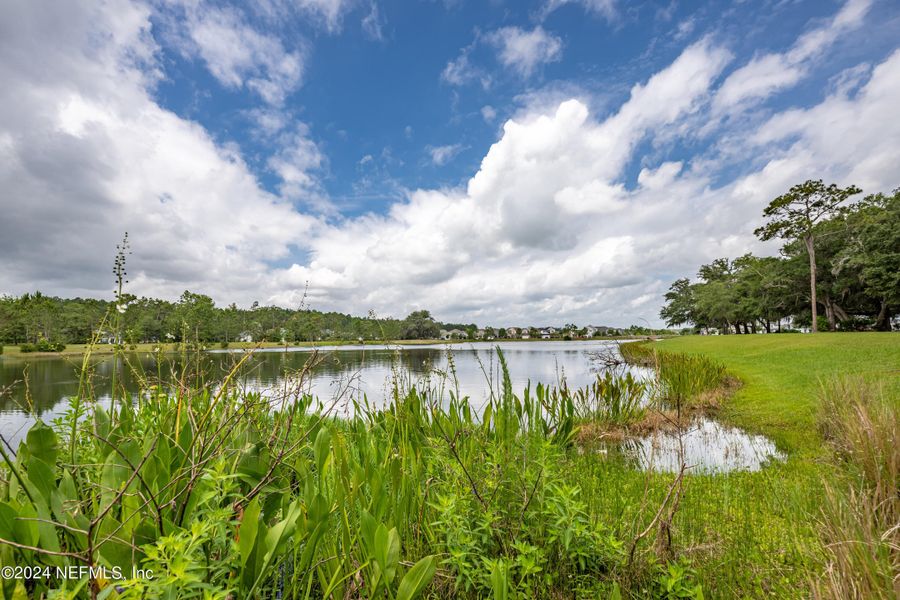 Natural landscape and outdoor views near TrailMark in St. Augustine (Image 59).