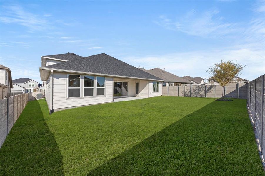 27. 3905 Mescalbean - Back (2)