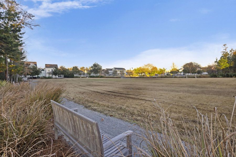 Natural landscape and outdoor views near  in Summerville (Image 53).