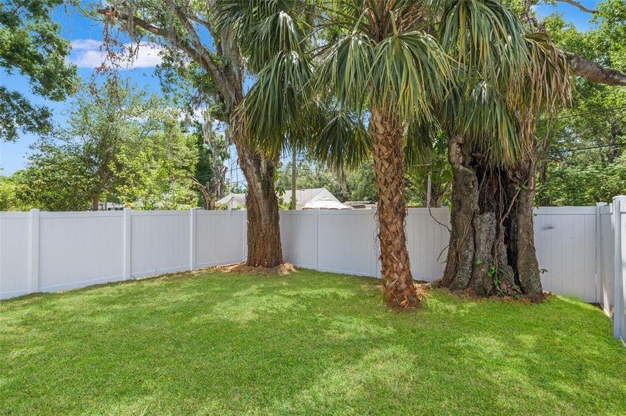 Exterior details and patio area of a home in , Tampa (Image 34).